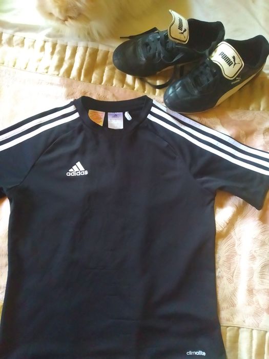 Спортивная одежда, оригинал!