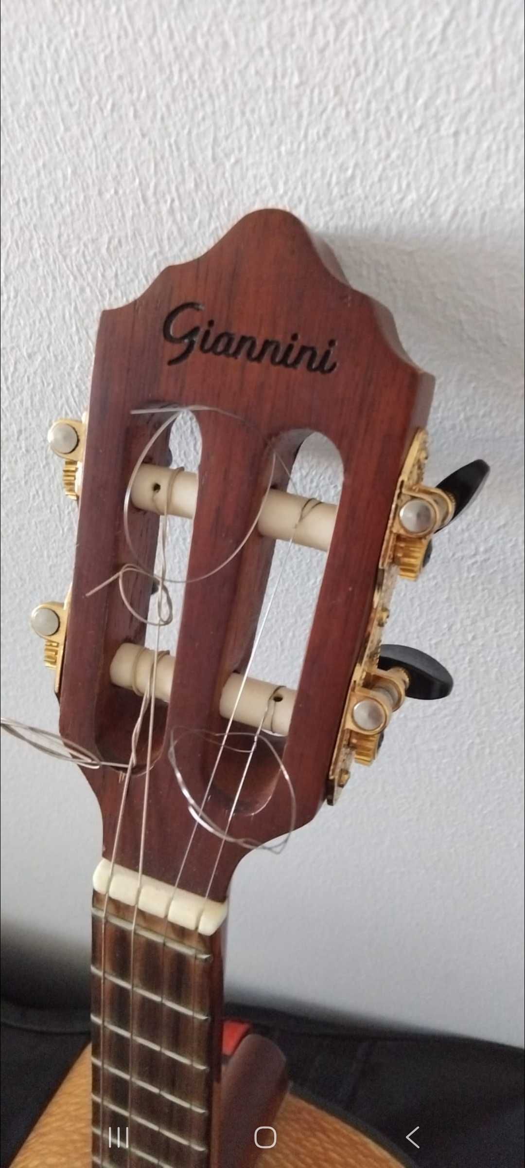 Cavaquinho Brasileiro Giannine Raiz