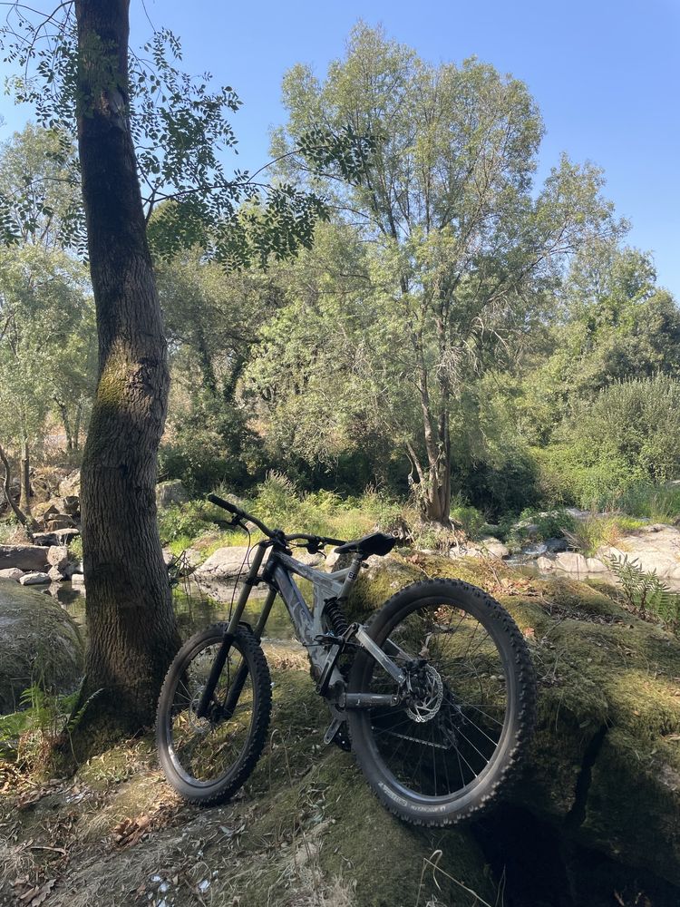 Specialized Big Hit
