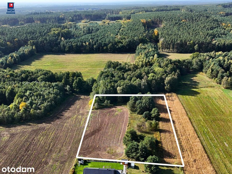 Działka rolna blisko lasu na sprzedaż.
