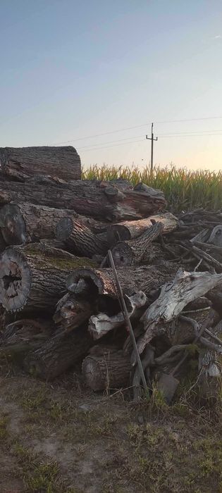 Drewno opałowe liściaste sezonowane   Jesion, Akacja