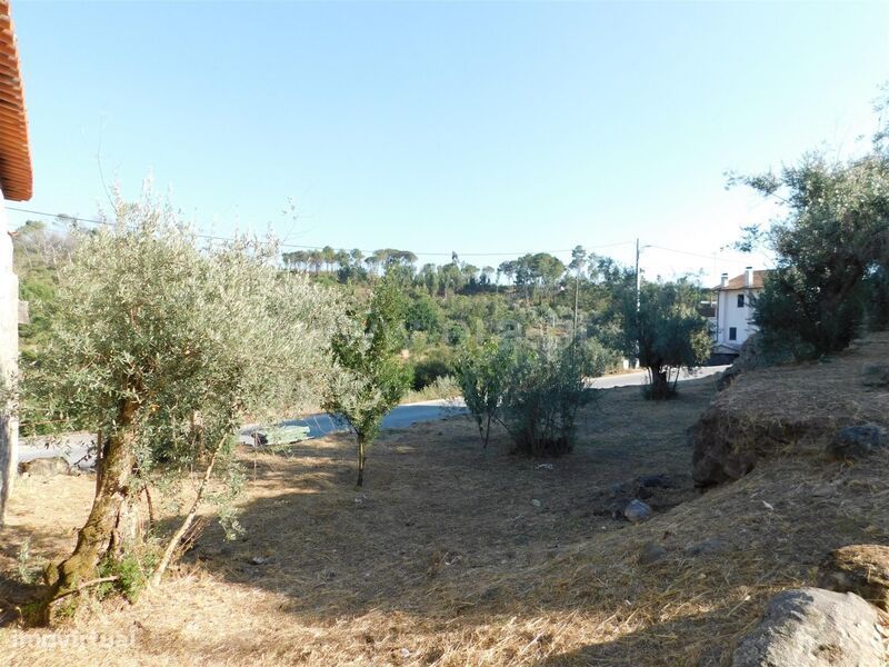 Terreno com ruina / Seia, Paranhos