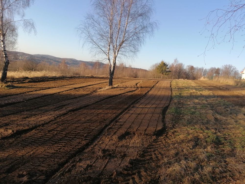 Mulczer leśny wgłębny powierzchniowy mulczowanie wycinka drzew działek