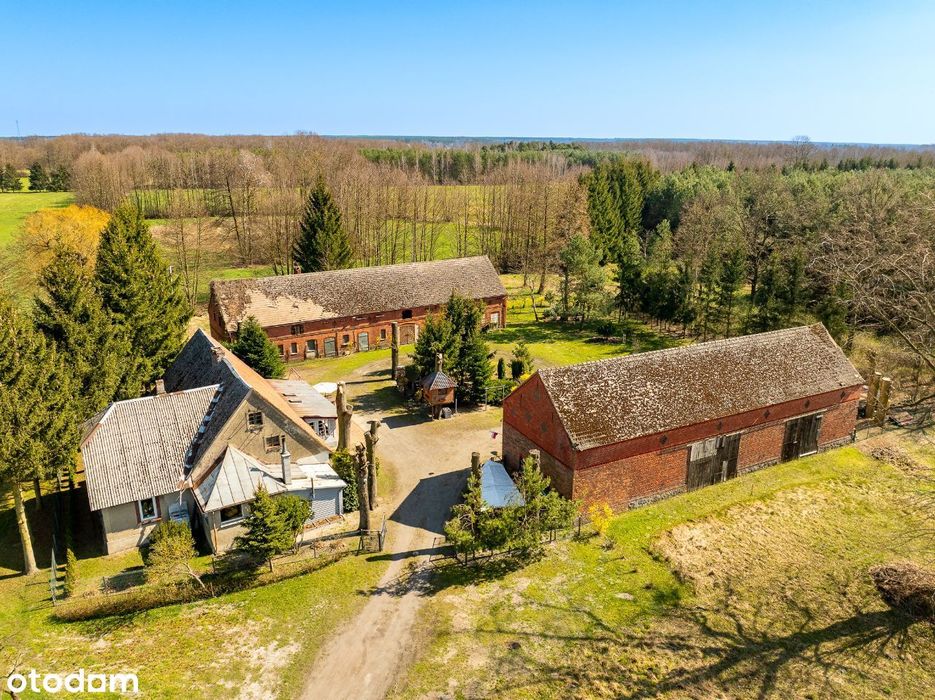 Piękne siedlisko z potencjałem k. Nowego Tomyśl