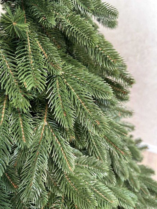 Топ! Різдвяна ялинка | штучна ялинка сосна, ялинка елітна,елка преміум