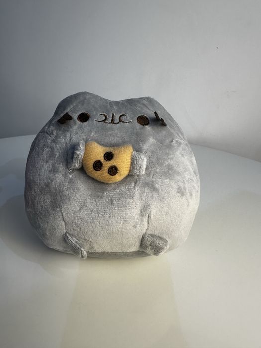 Pusheen z ciastkiem