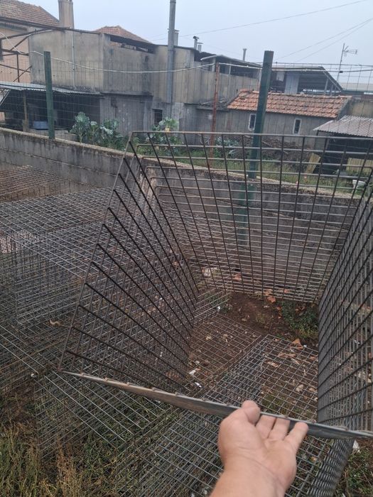 Grandes protecção de árvores