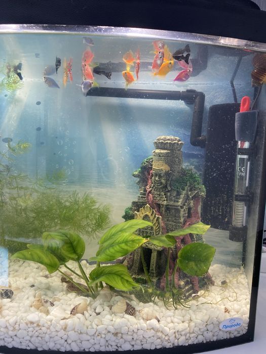 Акваріум 62л новий стан
