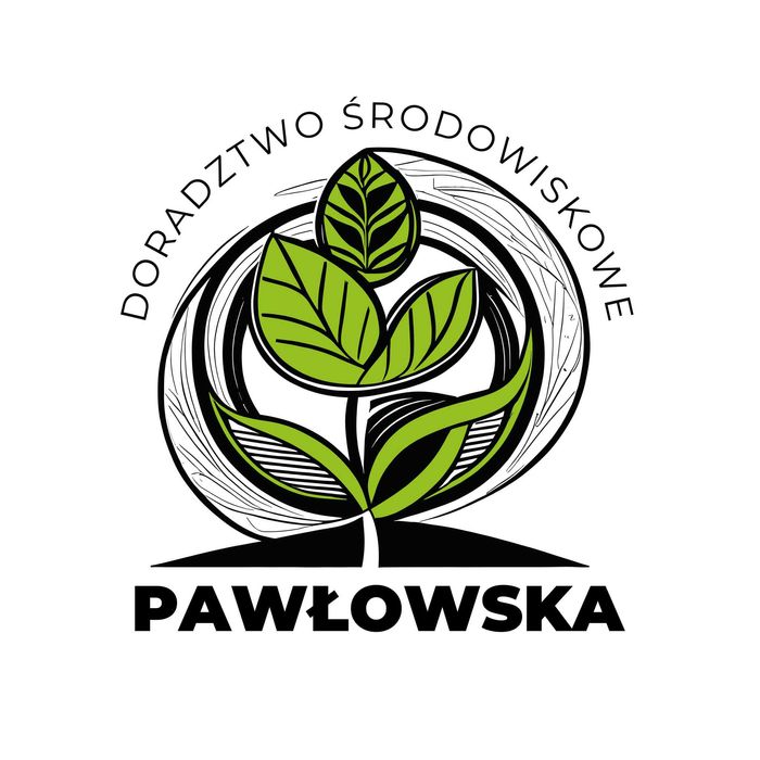 BDO,KOBIZE,LUCID, AUDYTY, EUDR sprawozdania  stała obsługa