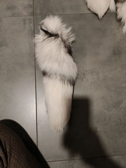 Ogon z lisa idealny na brelok lub zawieszkę!Naturalny kolor