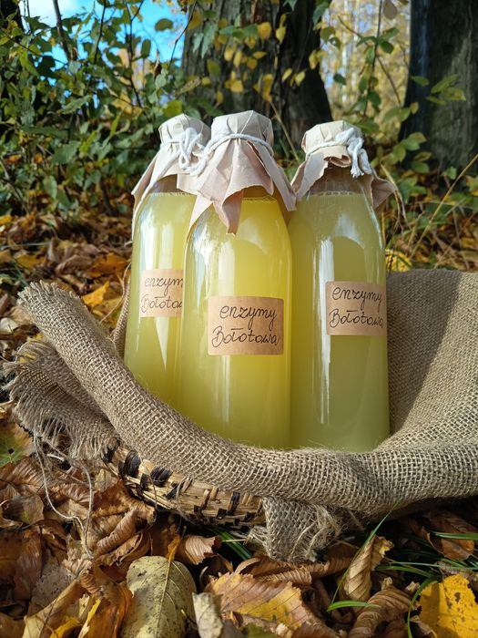 Enzymy Bołotowa 2l - Oczyszczanie Organizmu