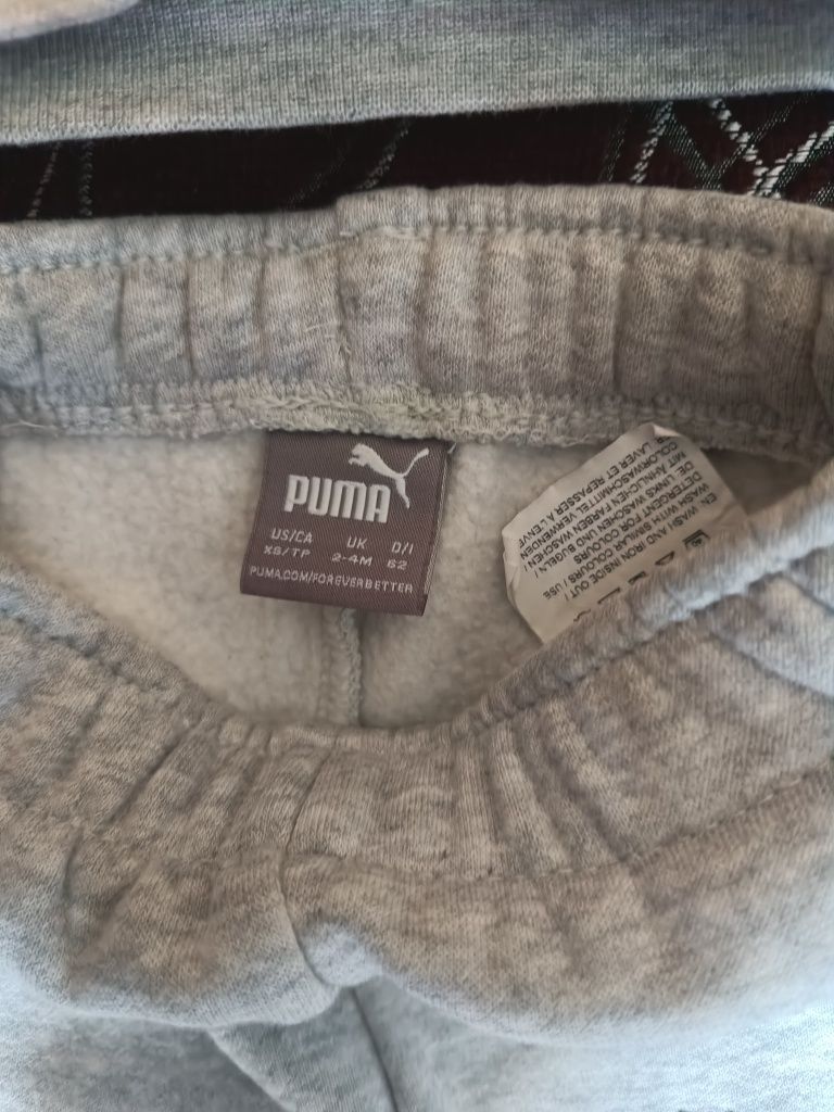 Dres z Pumy.dla chłopca