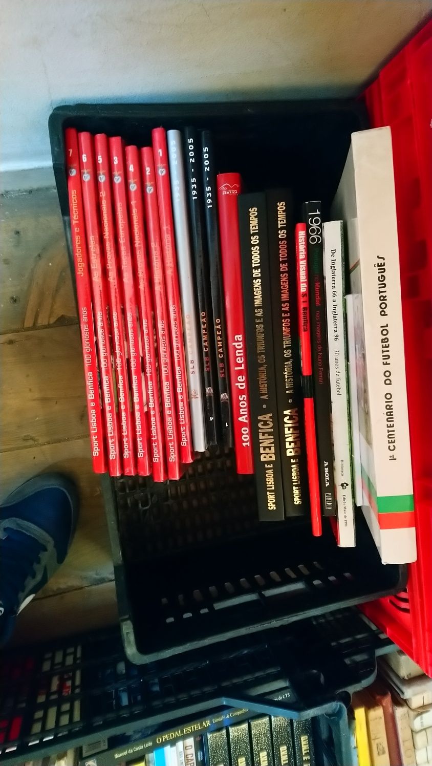 Conjunto / lote de livros sobre o Sport Lisboa e Benfica.