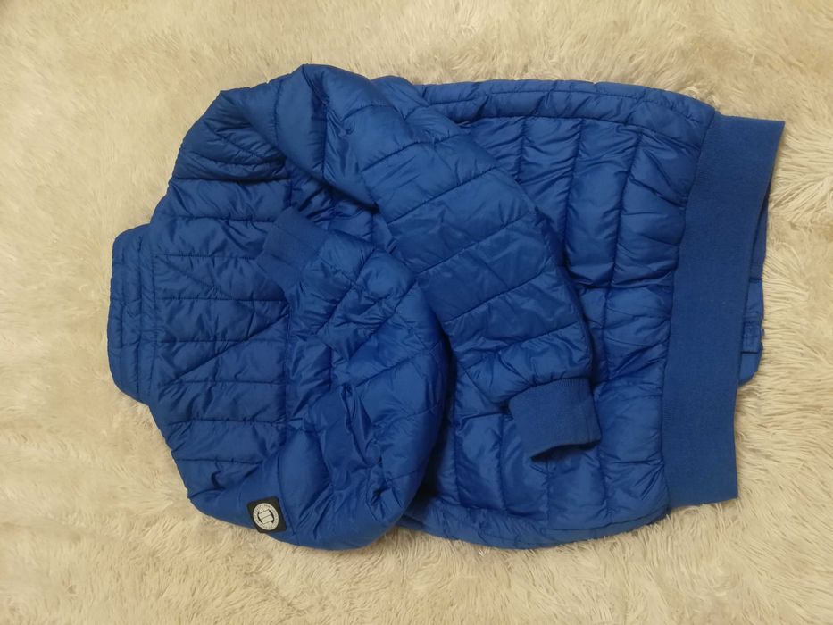 kurtka Pit Bull M 38 west coast niebieska kurtka Pit Bull S 36 M 38