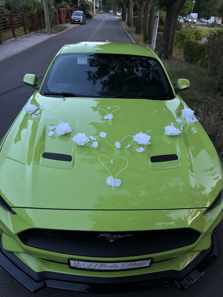 Ford Mustang 2.3 EcoBoost 317 KM do Ślubu i Innych Okazji