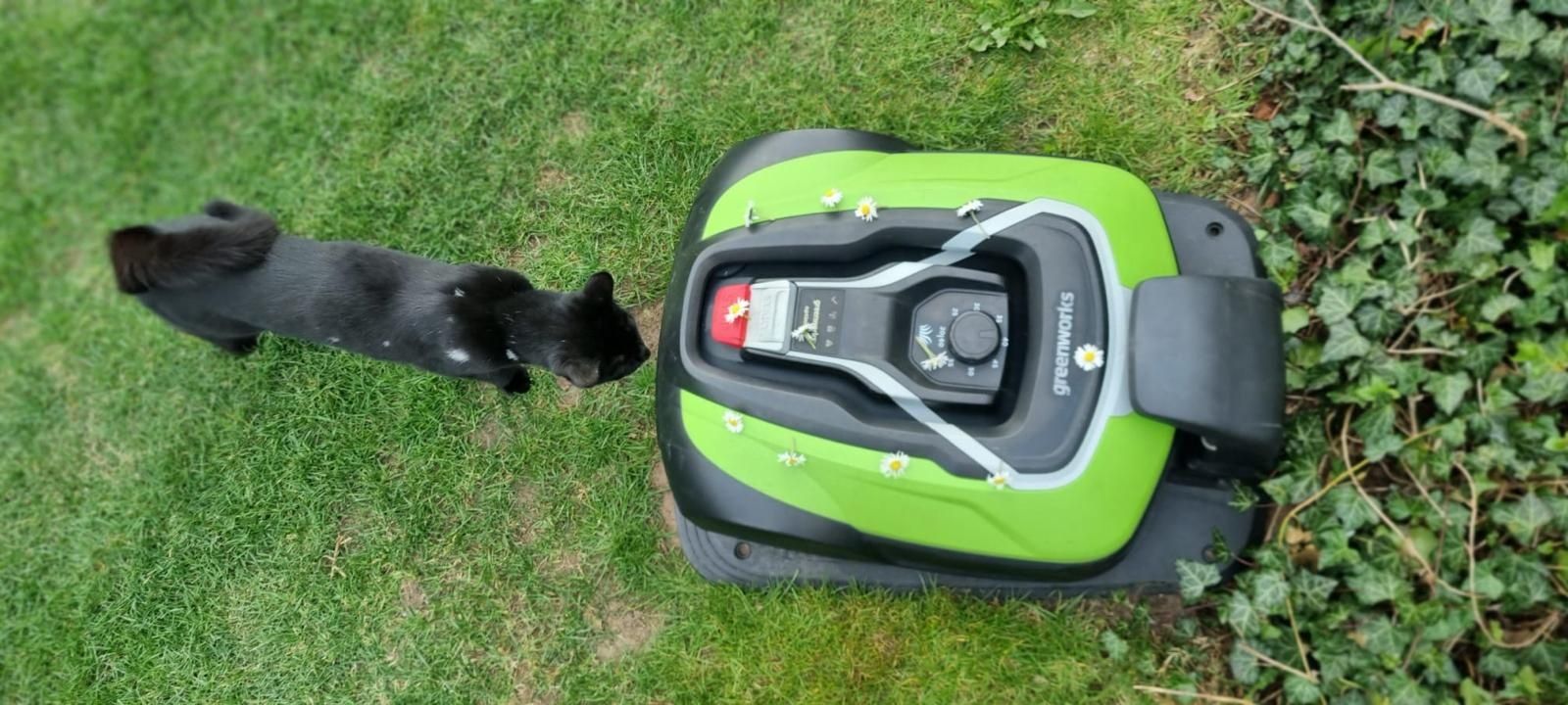 Robot koszący Greenworks OptiMow 10 GSM Kosiarka Automatyczna  

źródł