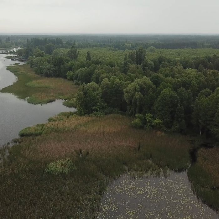Ділянка 1.7 ГА з виходом в Київське море, Толокунь, ліс, фарватер