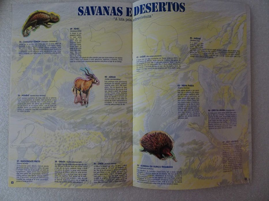 Caderneta de cromos Bollycao - Fauna em Perigo (tem 6 cromos)