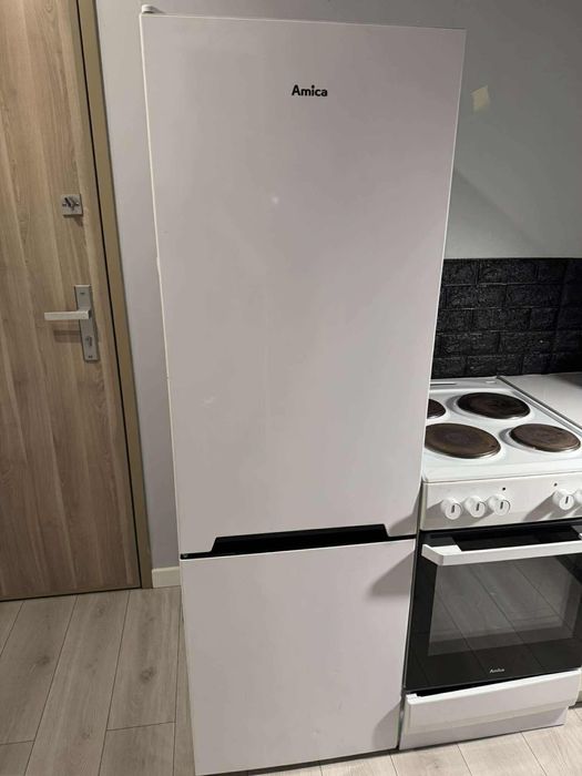 Lodówka wolnostojąca Amica