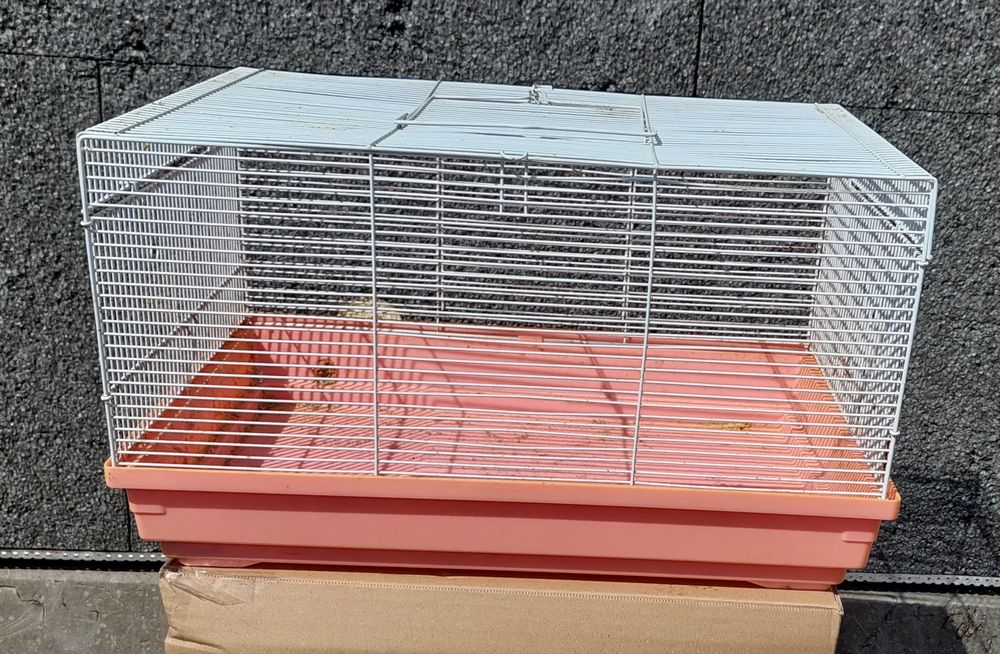 Klatka dla chomika szczura