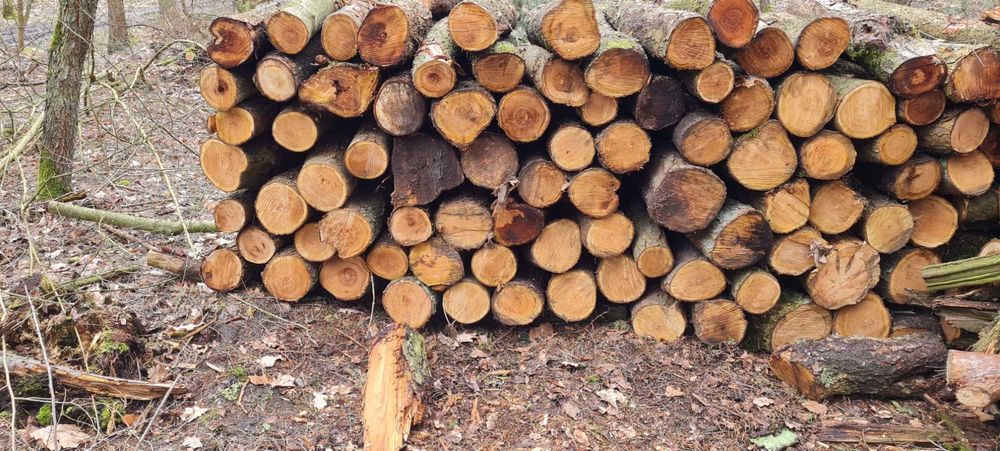 Drewno opałowe sezonowane