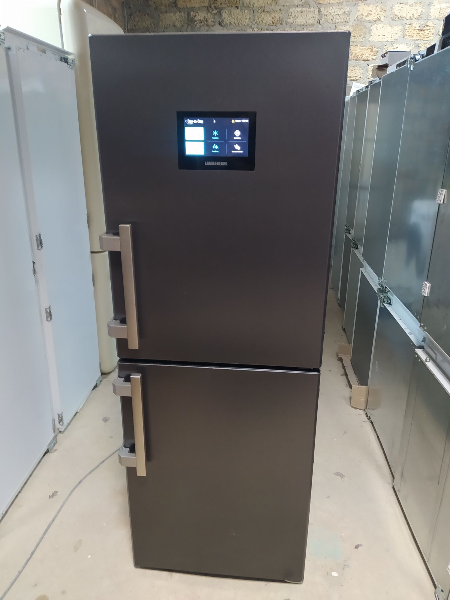 Двокамерний холодильник Liebherr CNP 3758