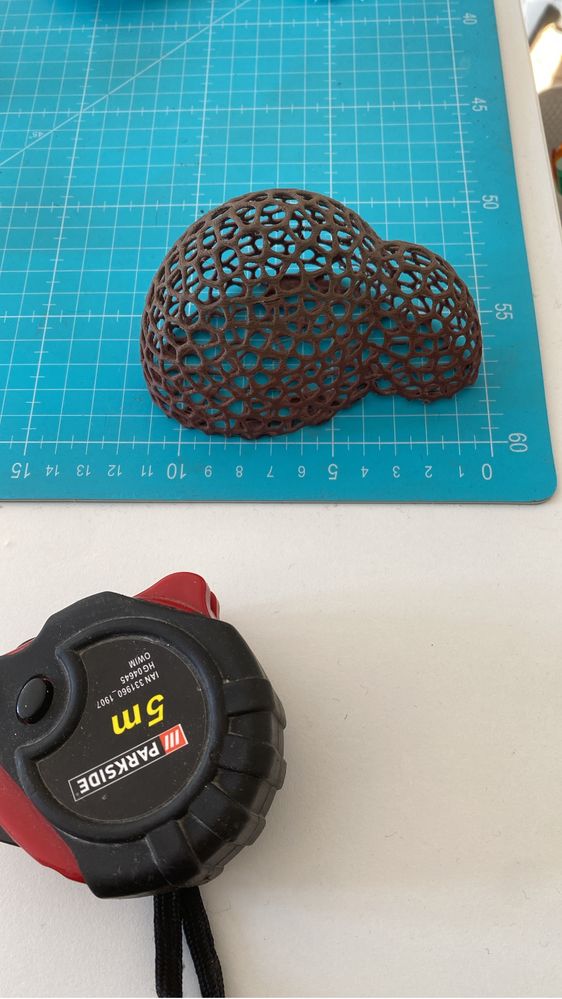 Coral musgo abrigo para camarões
