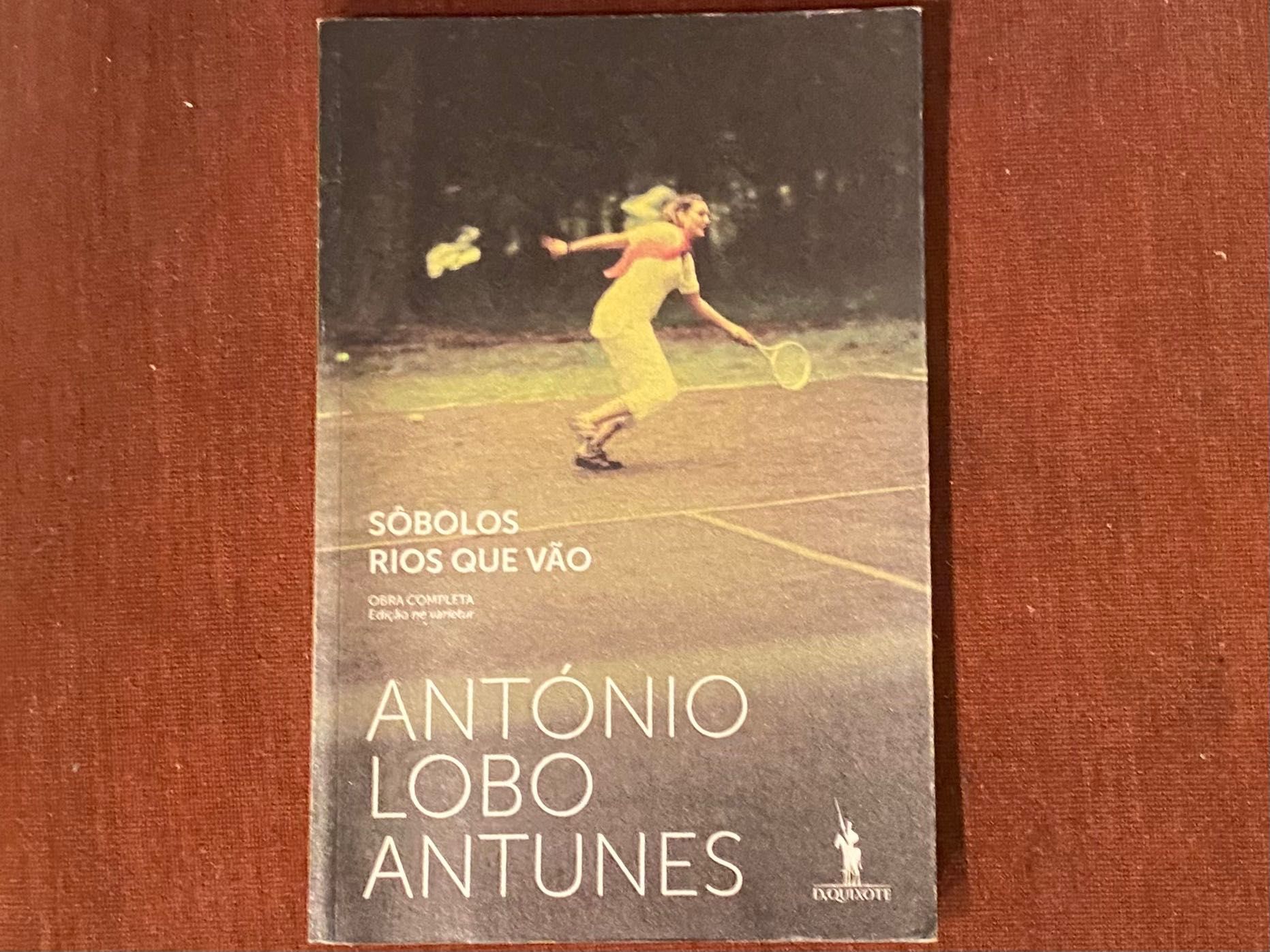 Sôbolos Rios Que Vão: Romance de António Lobo Antunes