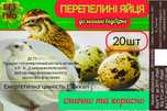 Домашні Перепелині Яйця