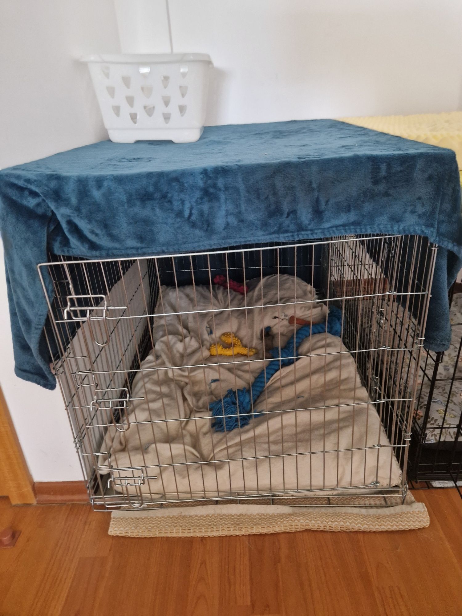 Crate Cão XXL em Metal