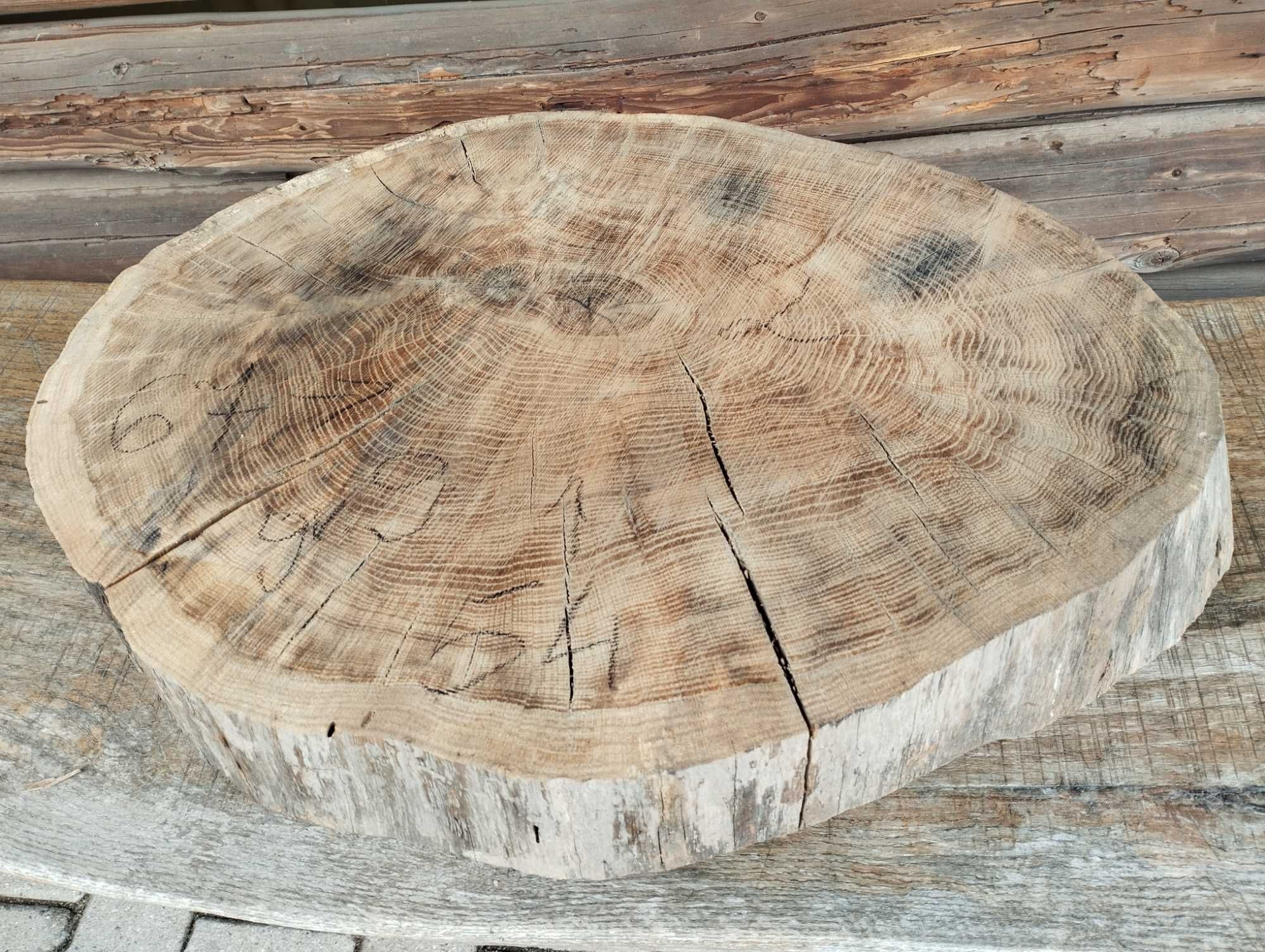 Hit! Plaster Drewna Duży Solidny Dąb pow. 50cm!
