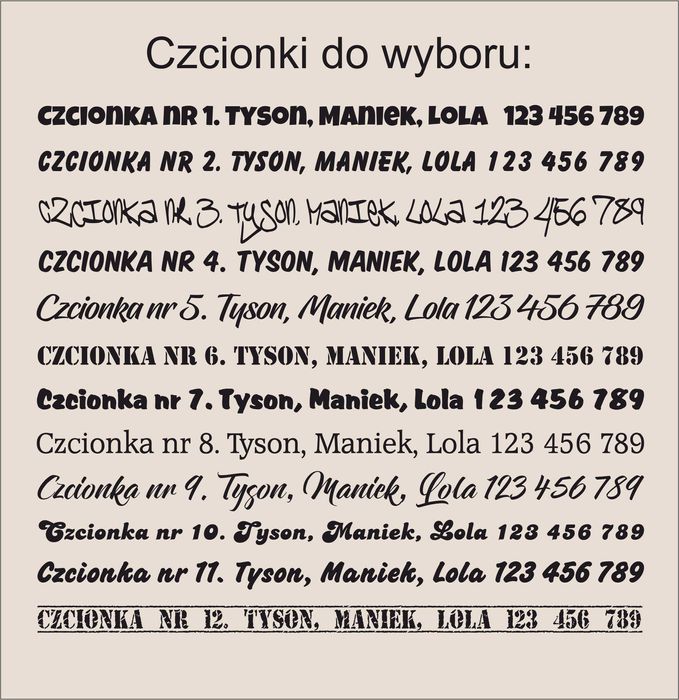 Duża Zawieszka Identyfikator Adresówka Dla Psa Grawerowana Napis Imię