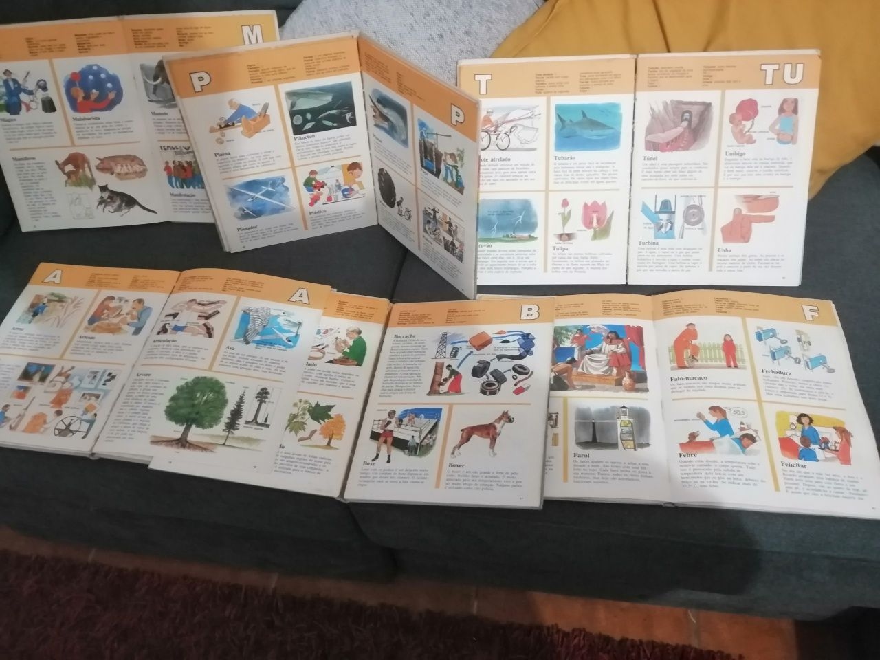 Enciclopédia infantil composto por sei livros