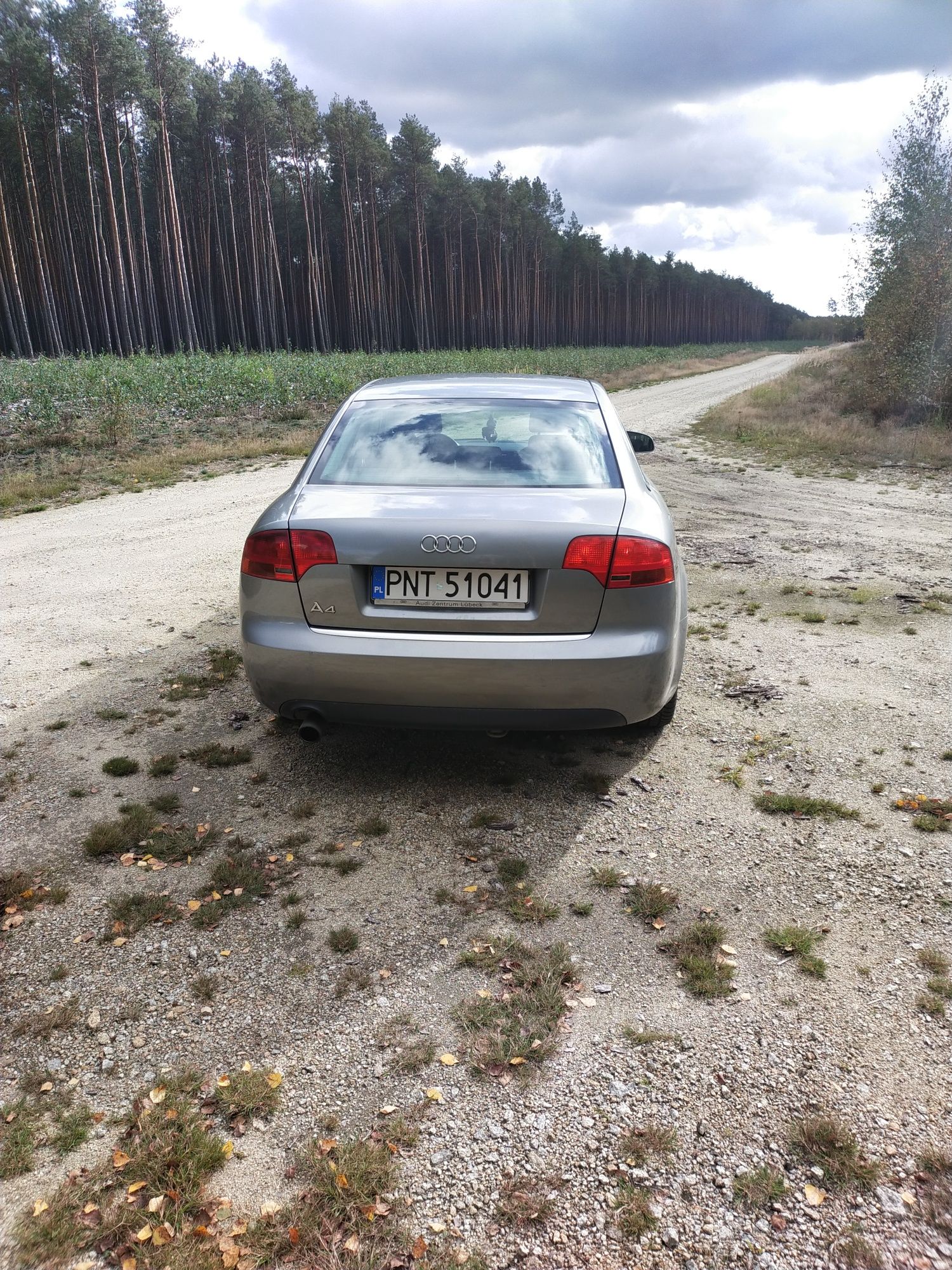 Audi A4 B7 1.6 benzyna plus gaz. Wsiadać  i jechać .