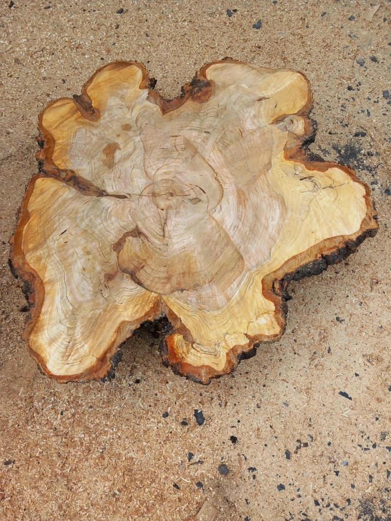 Plastry drewna czereśnia plaster blat