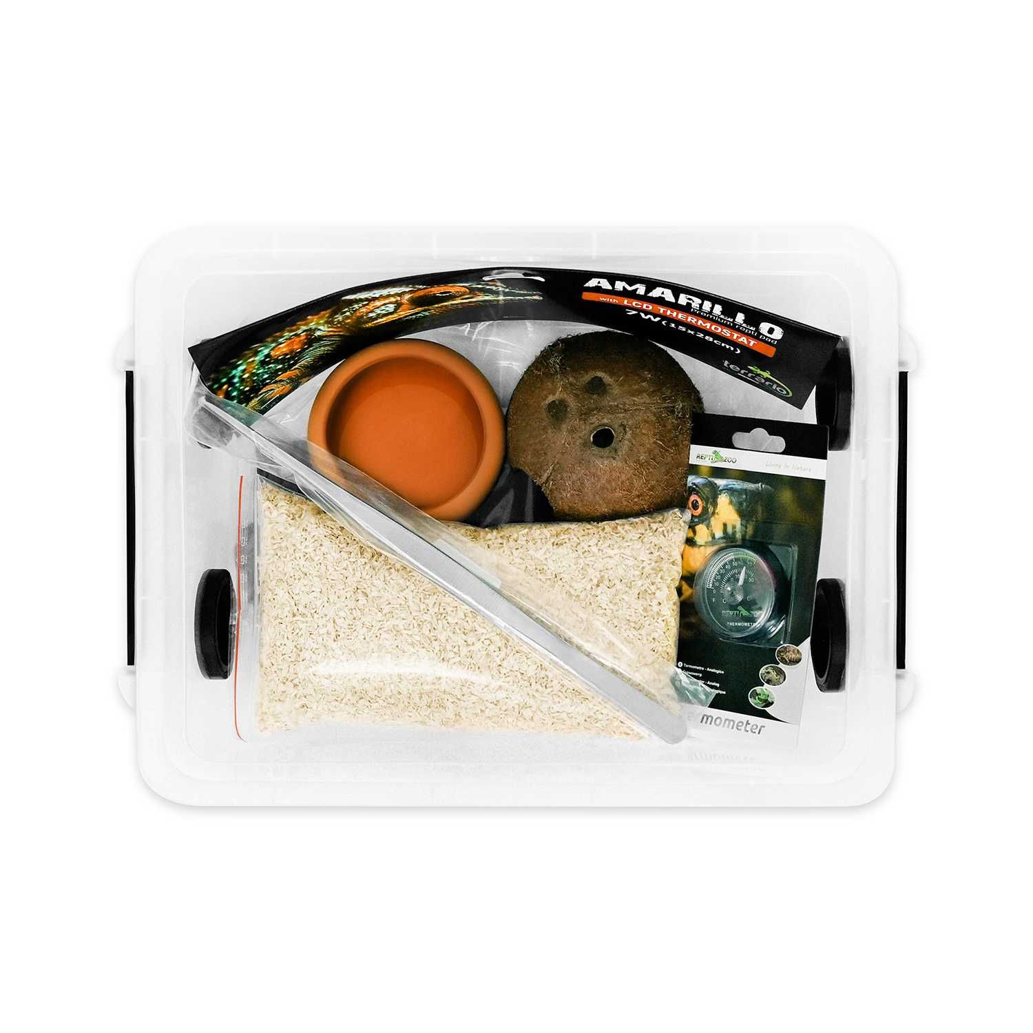 Starter box wąż zbożowy