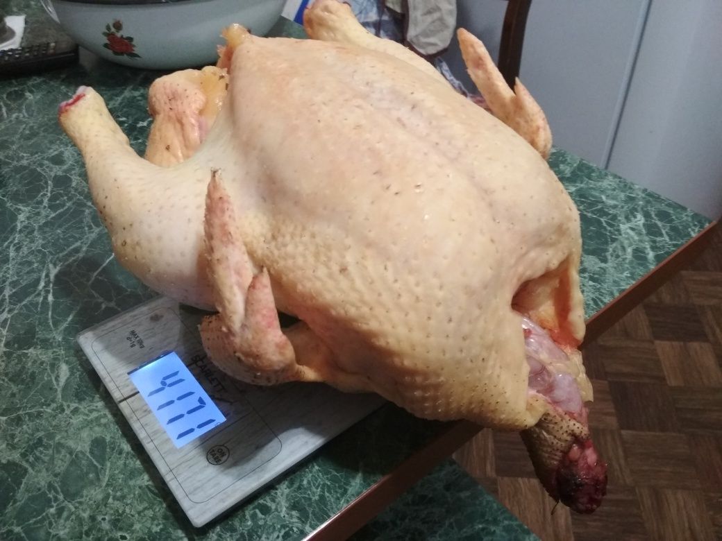 Комбикорм для индюков, бройлеров, несушек, уток (старт, рост и финиш)