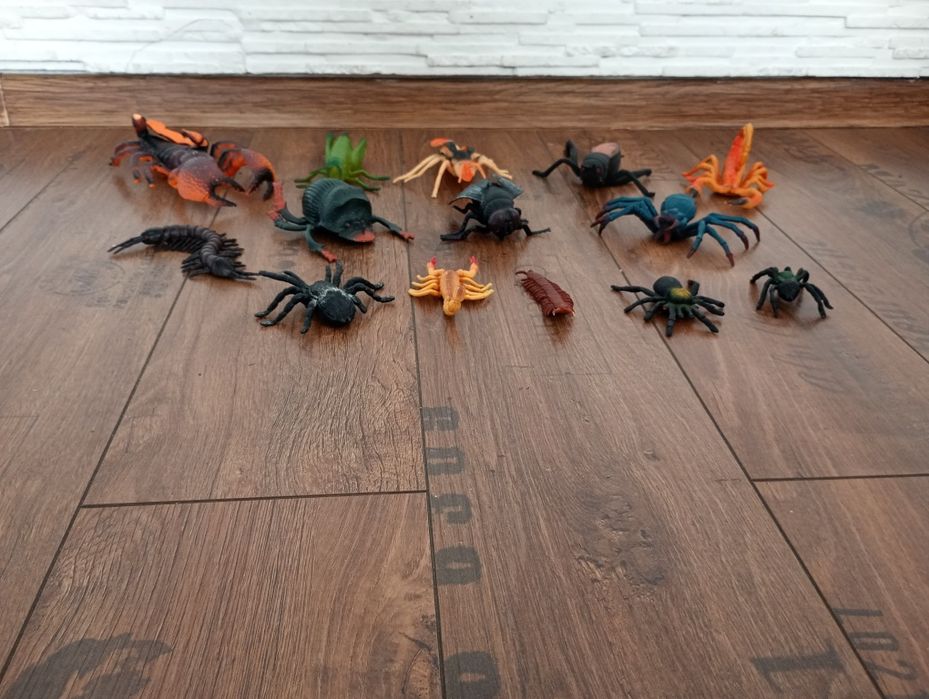 Duże owady pająki 14 sztuk