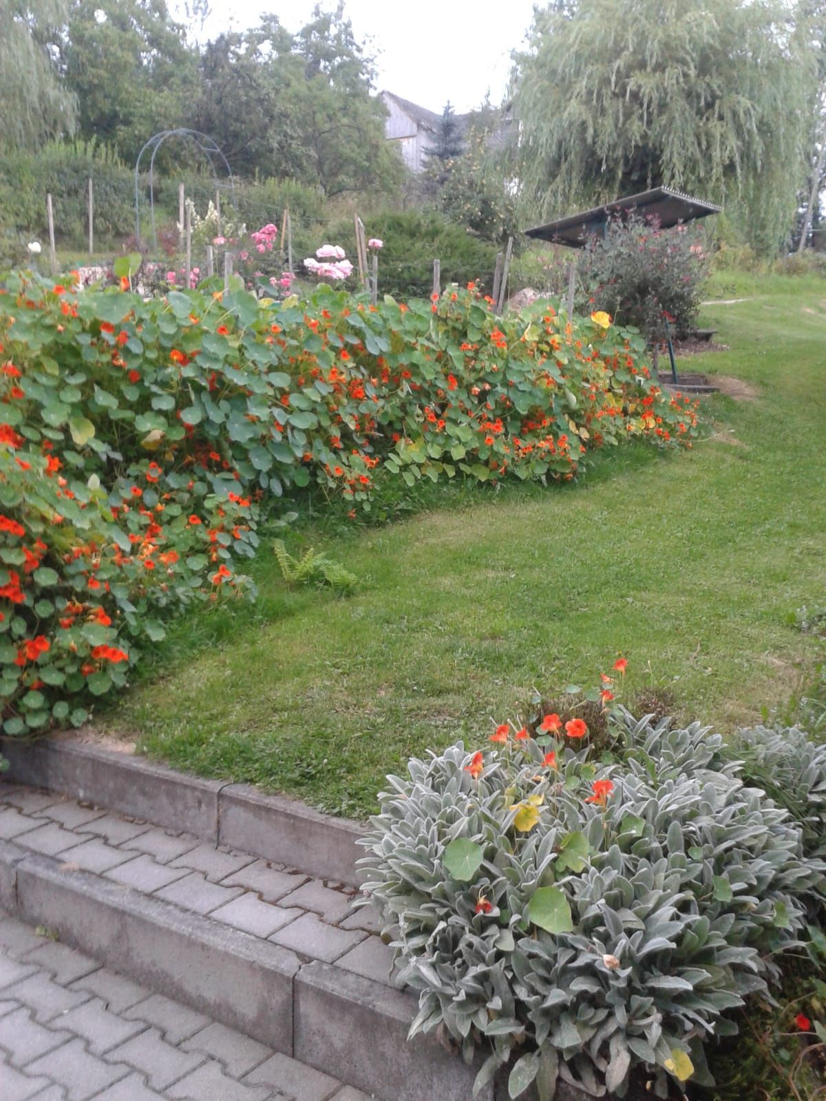 Pokoje na wynajem  Noclegi Raba Wyżna wolne pokoje