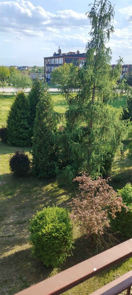 Mieszkanie do wynajęcia Mieszkanie oś Sikorskiego w trakcie remontu