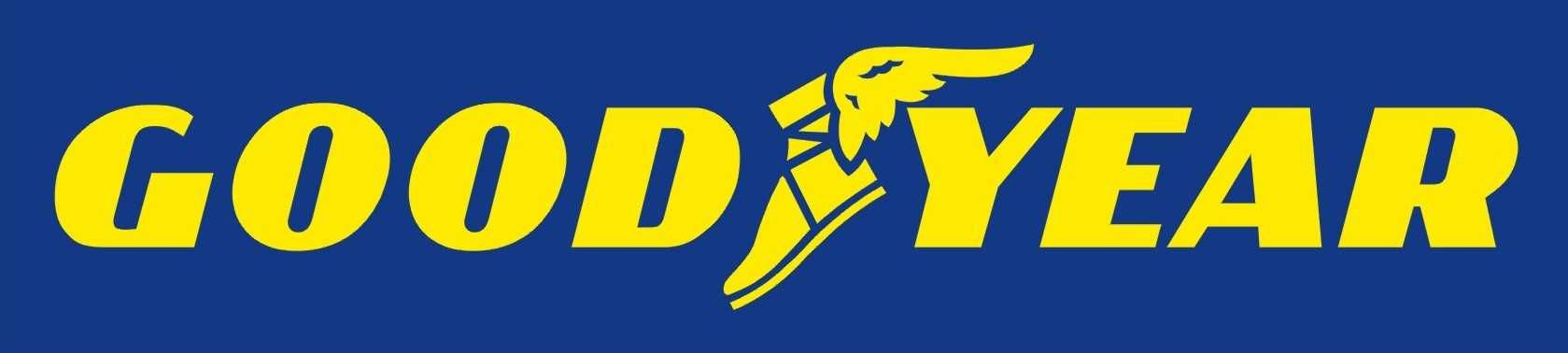 Nowe opony letnie GOODYEAR EFFICIENTGRIP Compact 195/65R15 91T