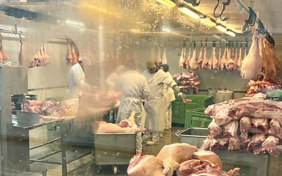 SALE-40%! Мʼясокомбінат потужністю 10 тонн/добу готовой продукції