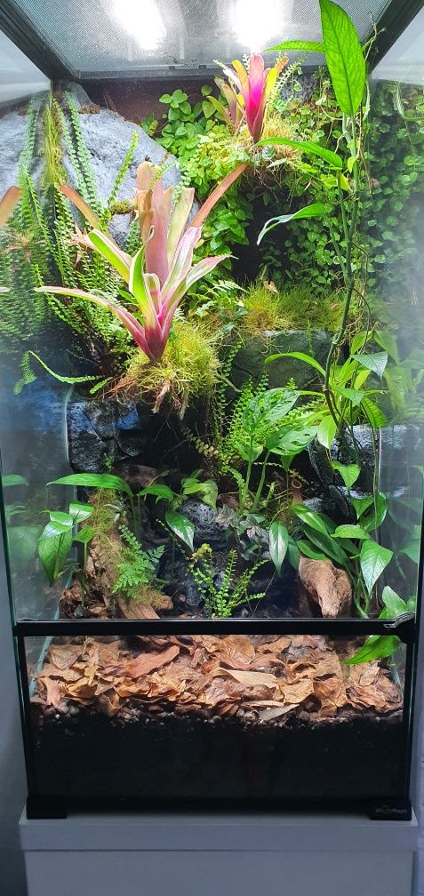 Terrarium, paludarium z wystrojem  i  szafką