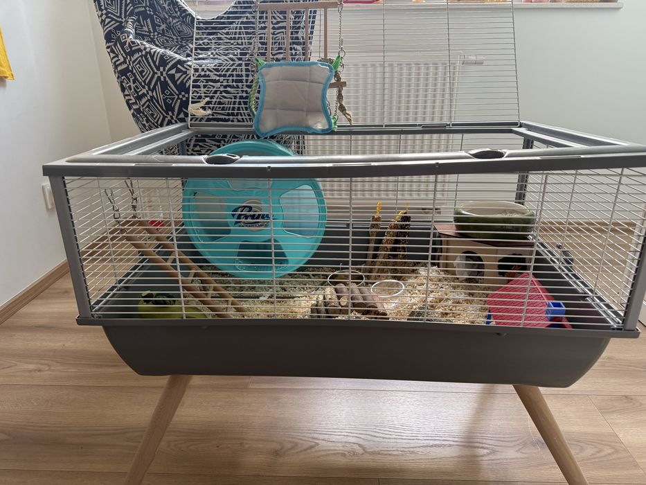 Klatka akcesoria i jedzonko dla chomika syryjskiego