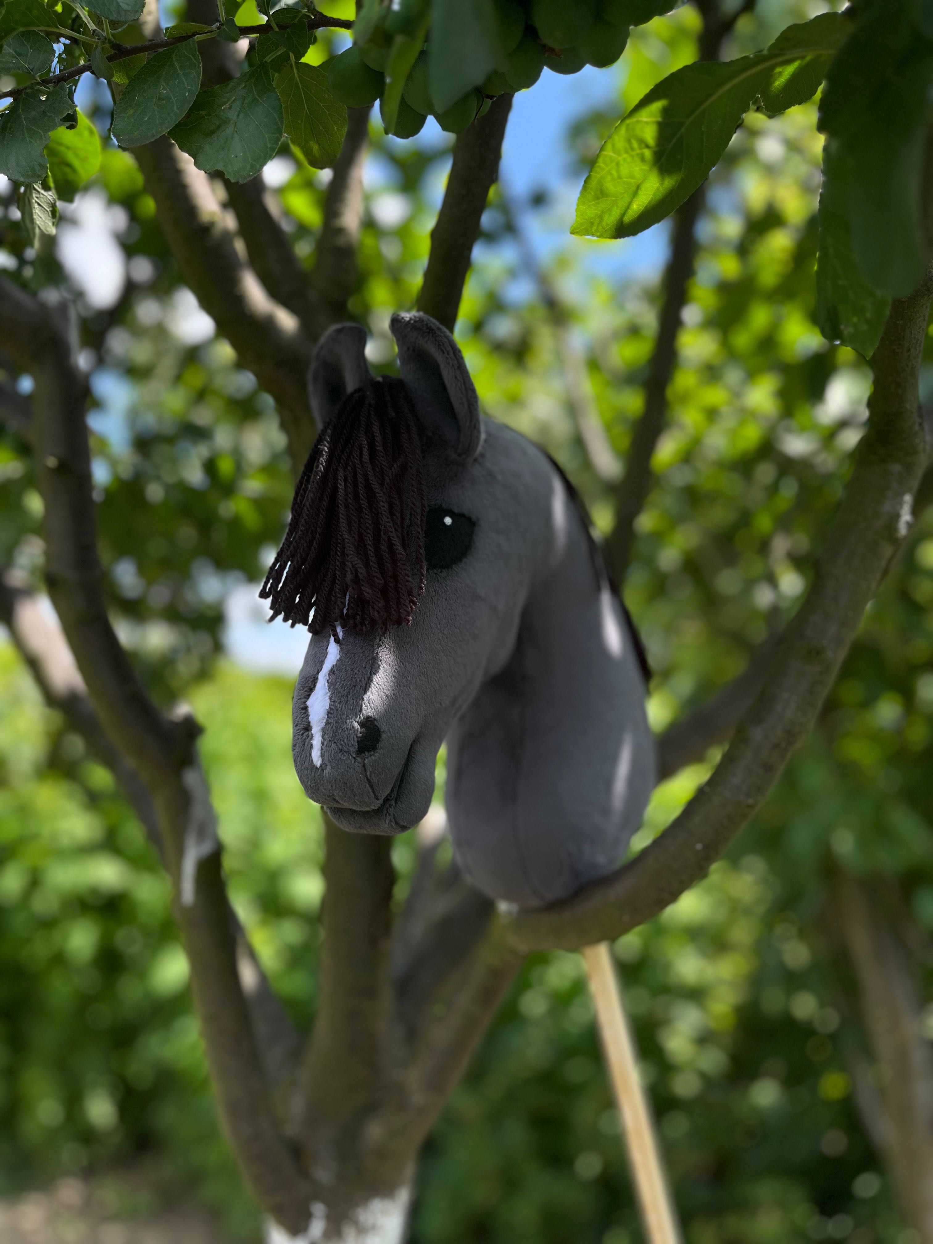 Hobby horse A4+ prosty
