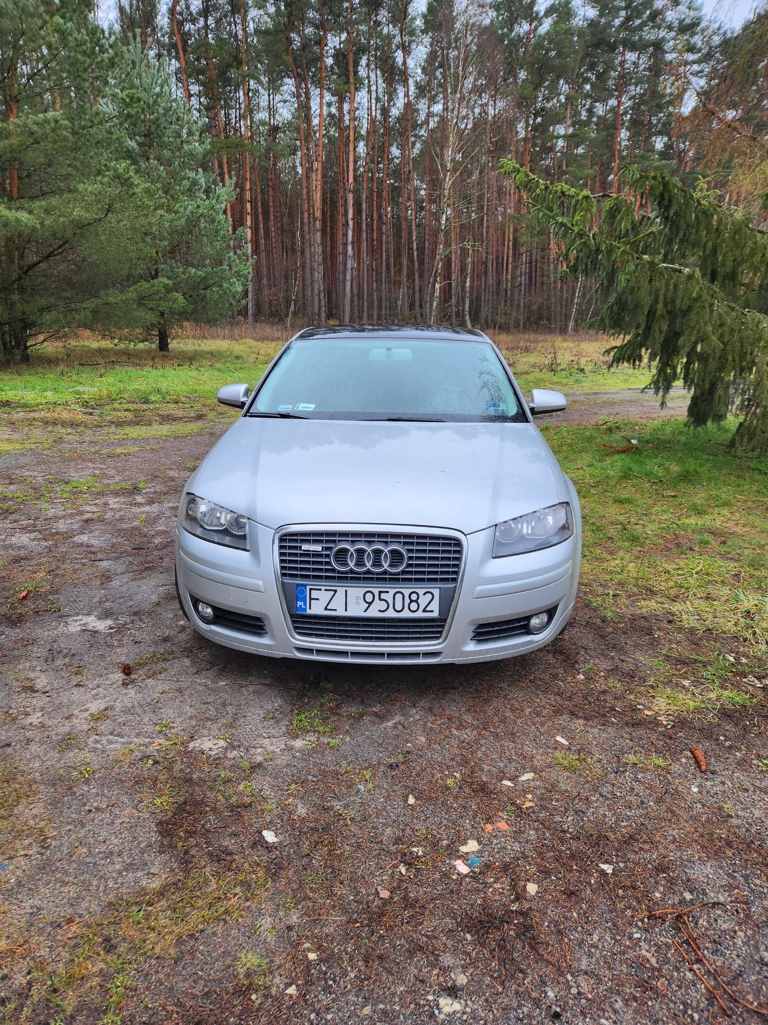 Audi A3-2006r.1.9 TDI