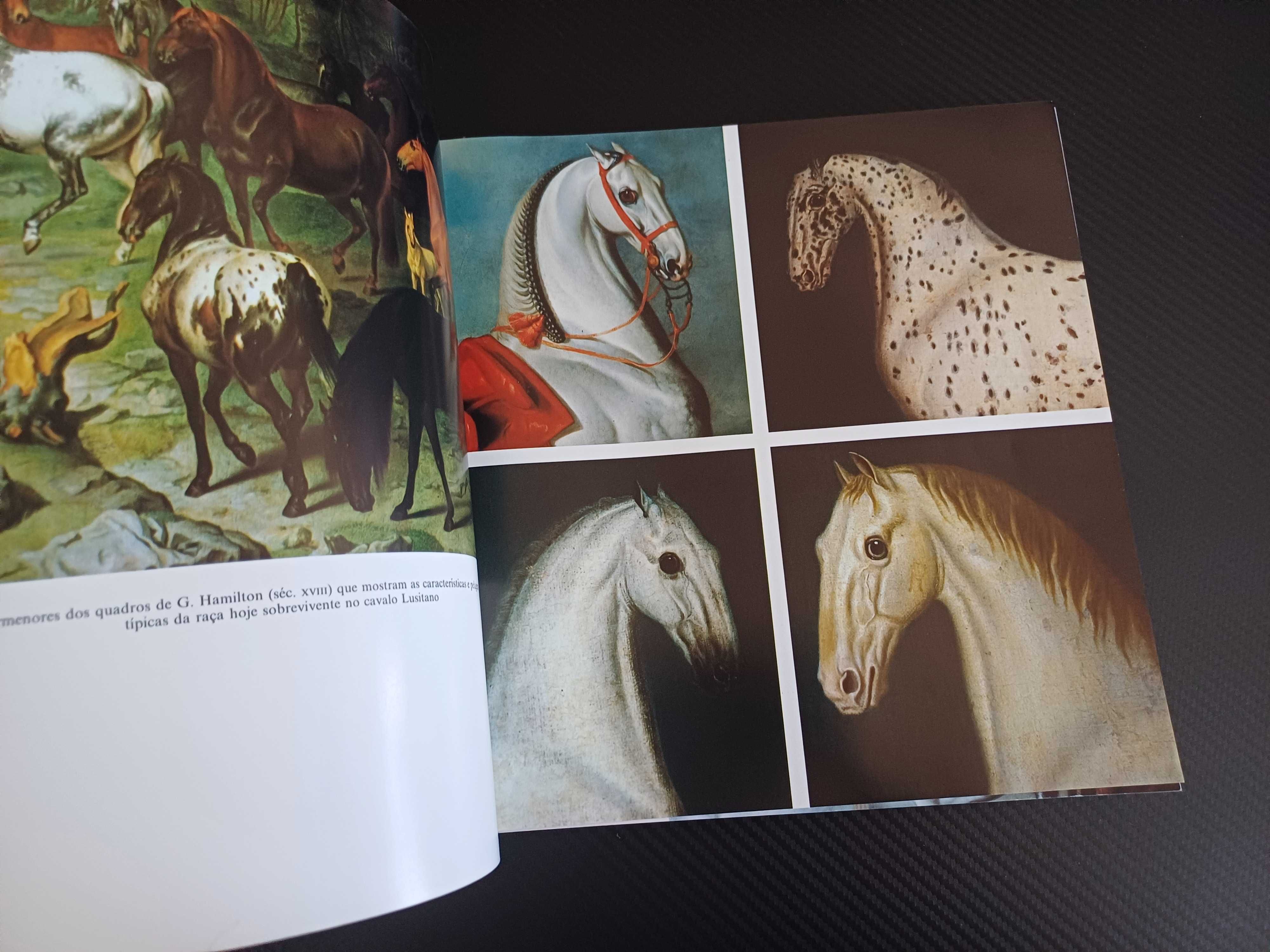 Cavalo Lusitano - Filho do  Vento