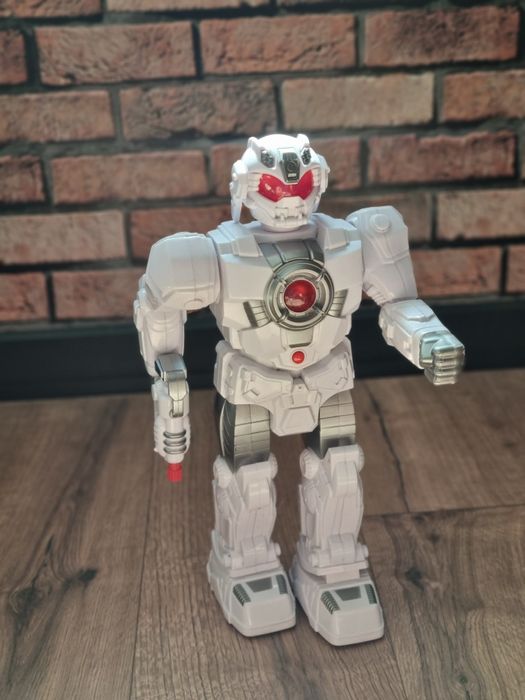 Robot interaktywny
