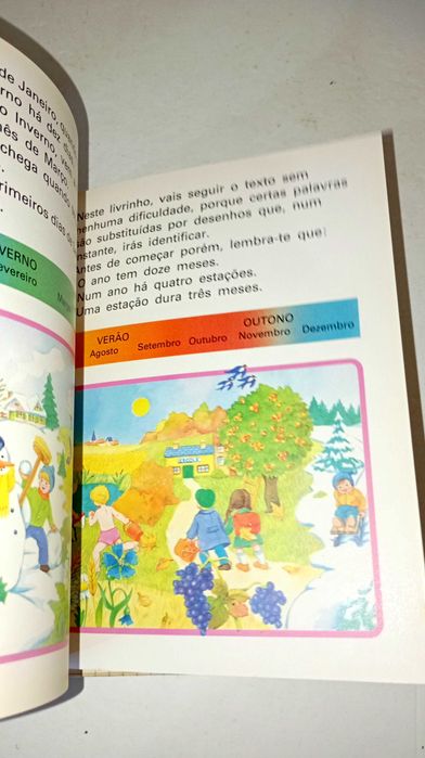 os meses e as estações do ano - Biblioteca dos Coelhinhos