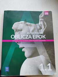 Język polski Oblicza epok 1.1